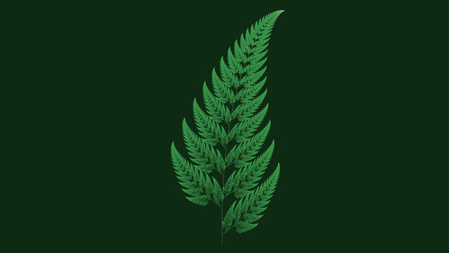 barnsley fern