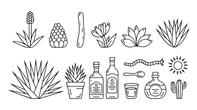 set of agave plants and tequila bottles with ingredients isolated on white background