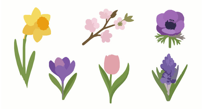 Realistic 3D spring flower icons vector set daffodil cherry blossom anemone and more isolated on white