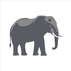Obraz premium Minimalist Gray Elephant Illustration - Stylized Wildlife Silhouette Isolated on White Background