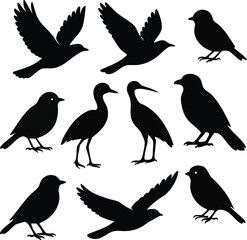 Obraz premium Collection of black bird silhouettes each isolated on white