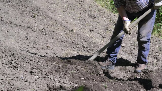 Contadino lavorazione orto