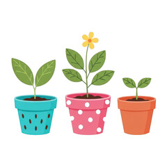 Fototapeta premium Three small potted plants with flowers in colorful pots