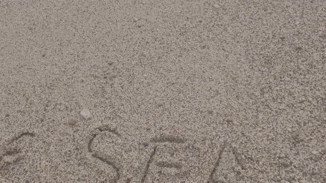 Sand writing beach hand writes words bye sea in the sand before a gentle ocean wave washes the message away