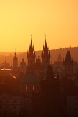 Fototapeta premium Sunrise in a park in the center of Prague.