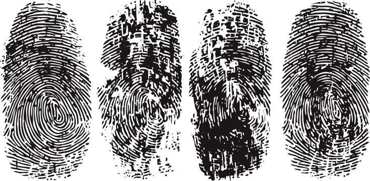detailed black and white fingerprint patterns unique biometric identity texture collection forensics and security concept illustration