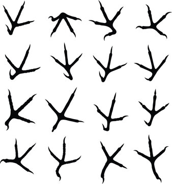 Collection of sixteen black bird footprint silhouettes arranged in a four-by-four grid, featuring various avian track shapes with three forward-pointing toes and one backward-pointing claw