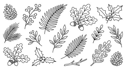 Winter botanical leaves and pine cones line art collection elements. © GW