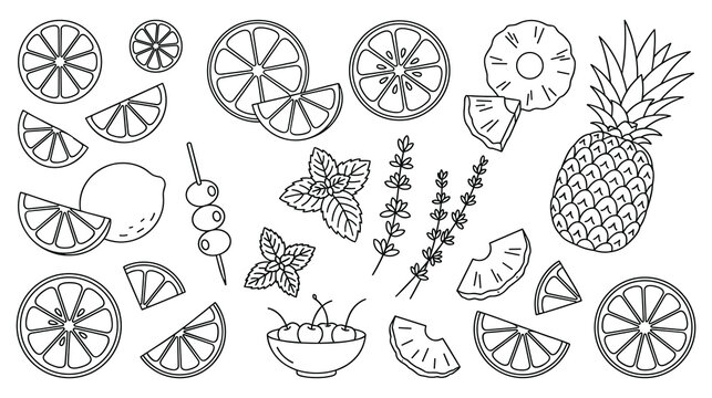 Cocktail garnish and fresh fruit slices line art collection for menu.