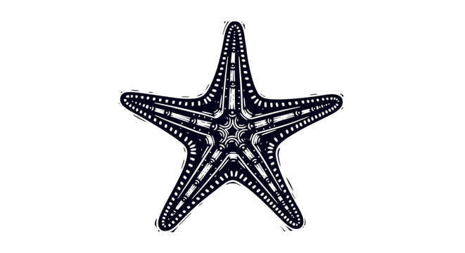 Vector Pinocut Elegant depiction of a starfish isolated on a backdrop.