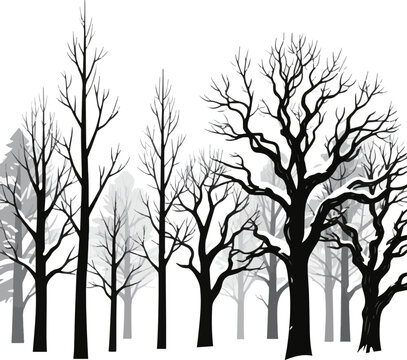 Create a realistic Set of winter trees silhouettes vector art with white background.