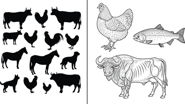 Farm, animal, silhouettes, and, vintage, sketches, featuring, cow, bull, horse, rooster, hen, dog, fish, isolated, on, white, background, vector, collection.