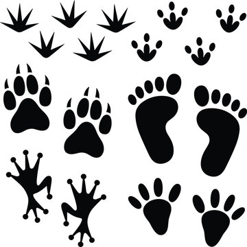 Collection of black animal and human footprint silhouettes including bear paws, bird tracks, and frog feet icons for designCollection of black animal and human footprint silhouettes including 