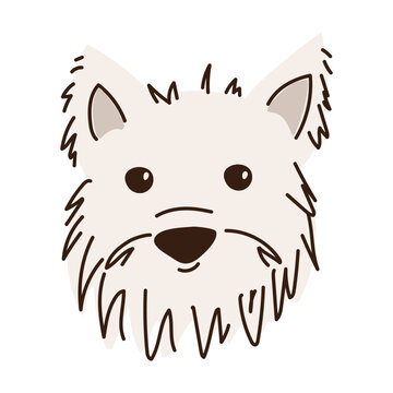 White terrier dog face. Cute hand drawn puppy head for pet shop logo, grooming salon poster, or animal lover sticker design. West highland white terrier head vector illustration