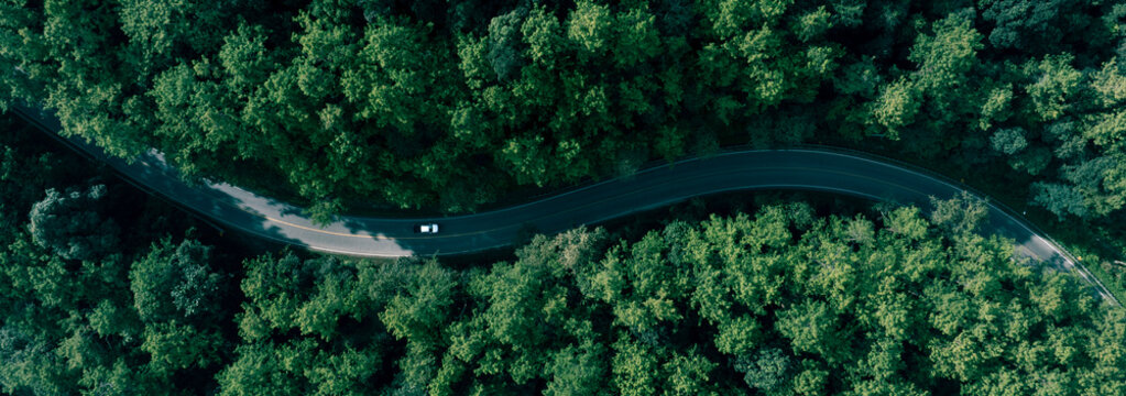 Transportation route passing through dense forest from aerial perspective. Great commercial background for sustainability campaigns, eco investment and environmental business.