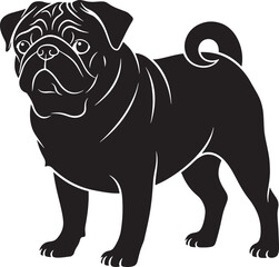 Obraz premium Cute pug dog silhouette standing isolated transparent background vector illustration