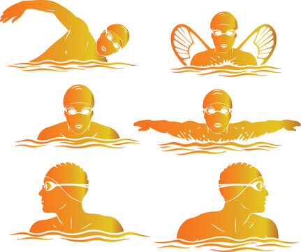 Swimmer demonstrating five freestyle strokes in water Vector, illustration