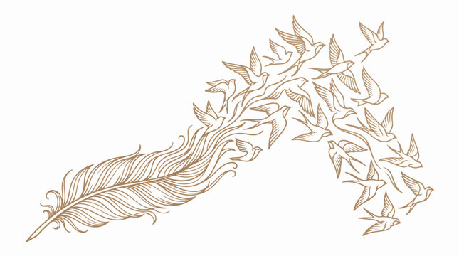 Artistic feather transforming into a flock of birds flying away.