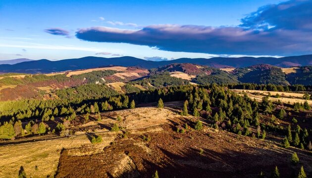 Vast Autumnal Mountain Landscape with Rolling Hills and Pine Forests.