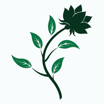 amarant grun flower silhouette on white background 