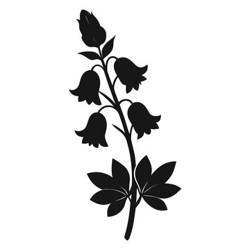 aconitum napellus flower silhouette on white background