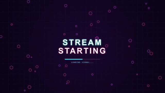 Stream Starting Screen with Loading Bar and Digital Network Background