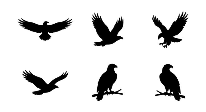 a set of six black and white vector icons depicting eagles in various poses including flying perching and soaring