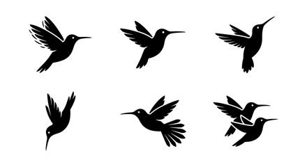 vector set of six hummingbird silhouettes black on white background © Saiful
