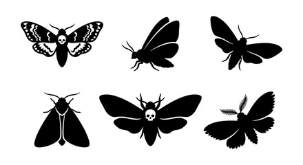Six Silhouette Moth Vector Icons, Dark Insect Graphics, Nocturnal Butterfly Art, Spooky Halloween Motifs, Entomological Design Elements, Mysterious Winged Creatures © Shahinur