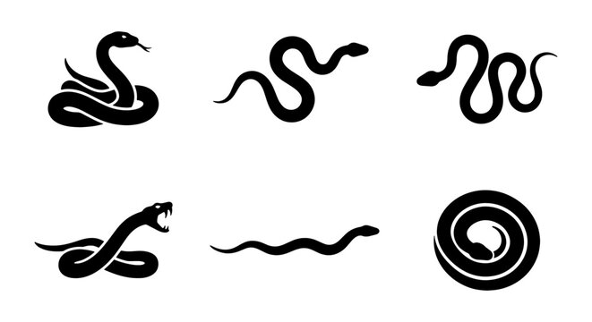 Set of 6 Black Snake Icons, Serpent Vector Graphics, Reptile Silhouettes for Wildlife and Mythology Designs