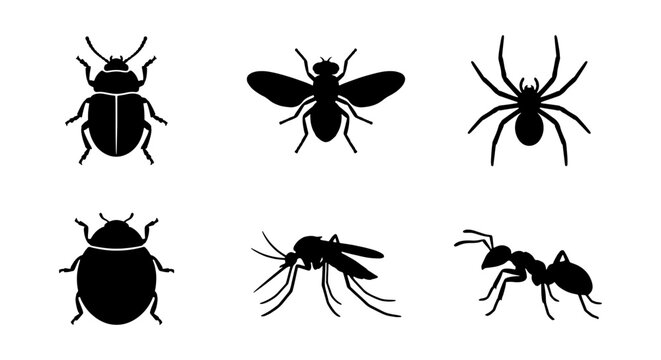 Insect Icons Set: Beetle, Fly, Spider, Mosquito, Ant Silhouettes, Vector Graphics for Nature and Science