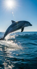 Fototapeta premium Energetic Dolphin Leaping From Ocean Waves