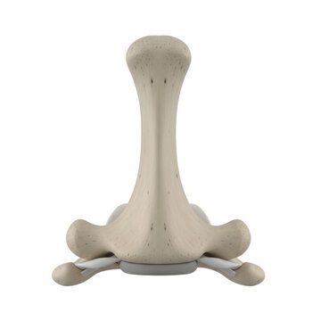 3 d anatomical model of a human cervical vertebra, showing the vertebral body, spinous process, and articular facets on a black background