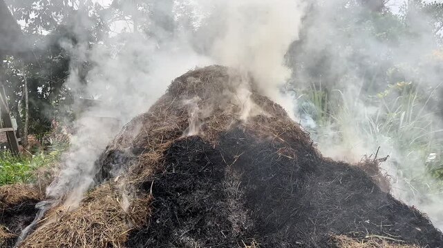 Blowing Smoke From Burning Grass