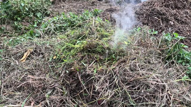 Blowing Smoke From Burning Grass