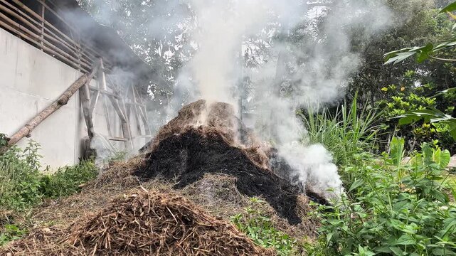 Blowing Smoke From Burning Grass