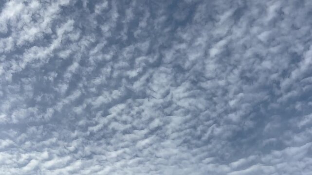 Mesmerizing Landscape of Gently Drifting Cirrocumulus Clouds in a Clear Blue Sky