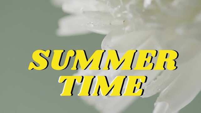 SUMMER TIME title appearing over daisy, causing petals shifting and dew clarifying for branding