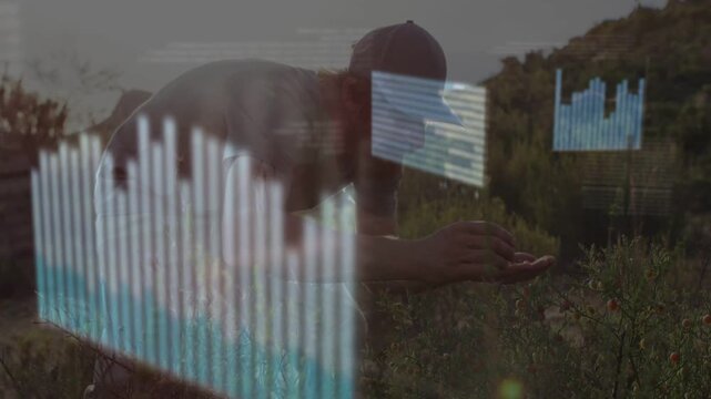 Field scientist crouching scanning plants with phone, making AR charts and merging bar graphs