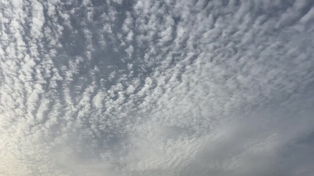 Mesmerizing Cirrocumulus Clouds Forming Wave Patterns in a Blue Mackerel Sky