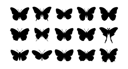 Set of 15 Black Butterfly Silhouettes, Vector Icons for Nature and Insect Designs, Elegant Winged Insect Graphics © Shuvo