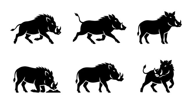 Wild Boar Silhouette Collection, African Warthog Vector Icons, Forest Animal Poses, Hunting Game Graphics, Wildlife Mammal Set