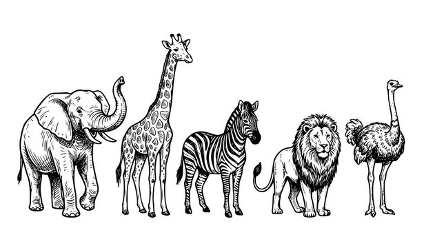 Savanna safari animal sketch set hand drawn ink wildlife vector illustration isolated on white background