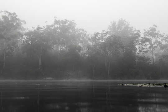 Misty morning view around Lake Parramatta, Sydney, Australia.