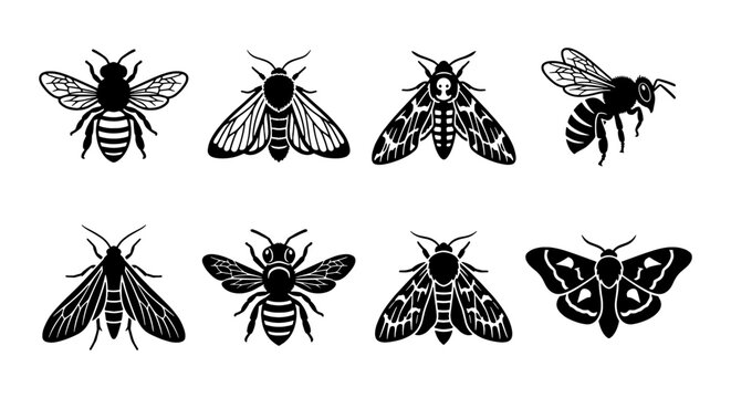 Set of 8 Black and White Insect Vector Icons: Bees and Moths, Detailed Silhouettes for Nature Graphics, Entomology, and Wildlife Design