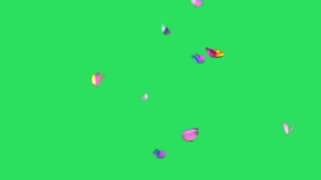 Animation colorful buterfly on green background.