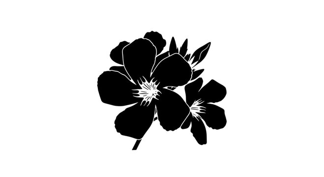Oleander Flower and Leaf Silhouette Vector Illustration
