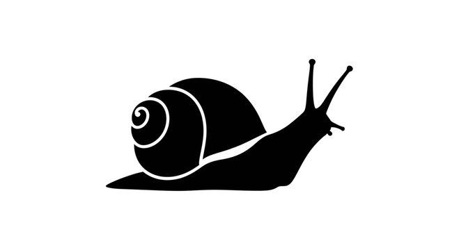 Snail gastropod silhouette with spiral shell isolated on white