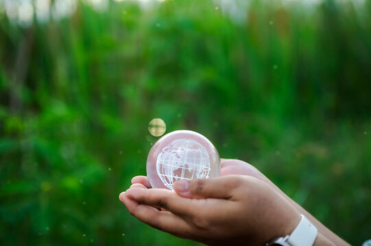 Renewable energy concept Earth Day or environment protection Hands protect forests that grow on the ground and help save the world.