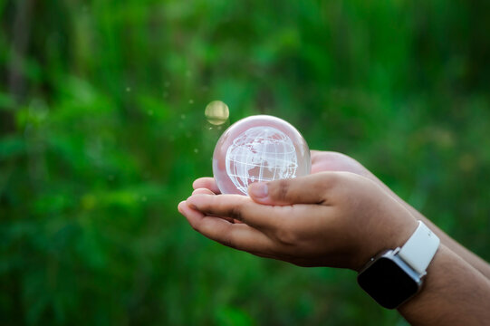 Renewable energy concept Earth Day or environment protection Hands protect forests that grow on the ground and help save the world.